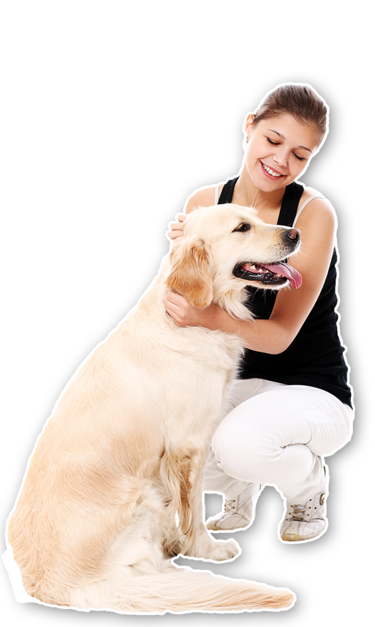 Boarding The Royal Paw Grooming Fort Myers, Florida